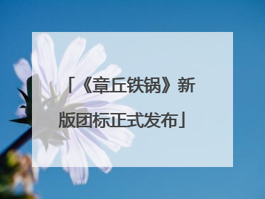 《章丘铁锅》新版团标正式发布