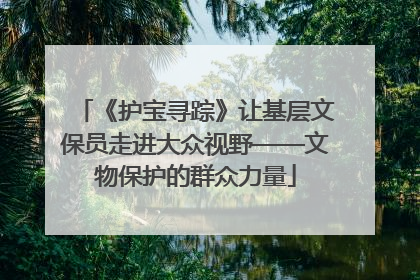 《护宝寻踪》让基层文保员走进大众视野——文物保护的群众力量