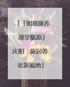 「如意康养 漫享陇原」庆阳：旅居养老新福地