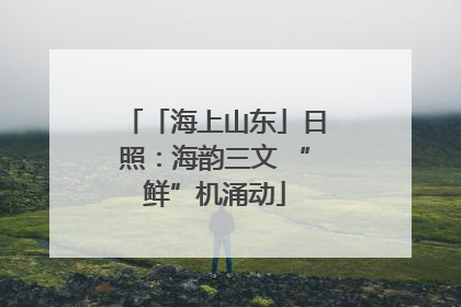 「海上山东」日照：海韵三文 “鲜”机涌动