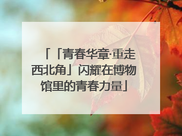 「青春华章·重走西北角」闪耀在博物馆里的青春力量