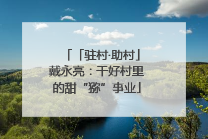 「驻村·助村」戴永亮：干好村里的甜“猕”事业