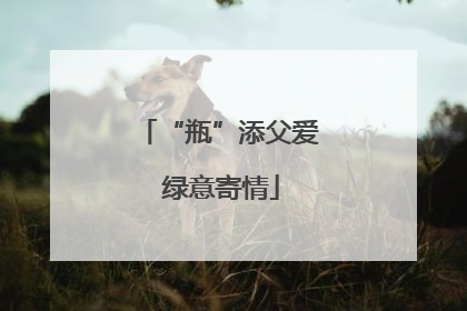 “瓶”添父爱 绿意寄情