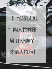 “益阳走娃”闯入竹林秘境 用小脚丫丈量大竹海