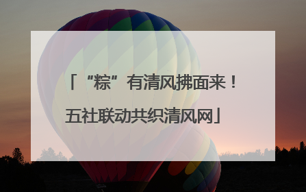 “粽”有清风拂面来！五社联动共织清风网
