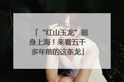 “红山玉龙”现身上海！来看五千多年前的这条龙