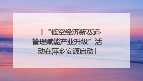 “低空经济新赛道·管理赋能产业升级”活动在萍乡安源启动