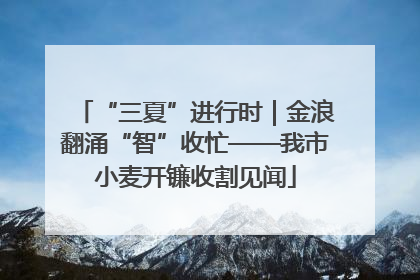 “三夏”进行时｜金浪翻涌“智”收忙——我市小麦开镰收割见闻