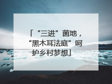“三进”菌地，“黑木耳法庭”呵护乡村梦想