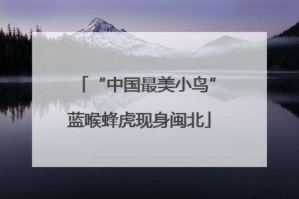 “中国最美小鸟”蓝喉蜂虎现身闽北