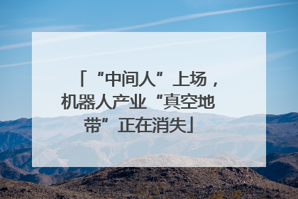 “中间人”上场，机器人产业“真空地带”正在消失