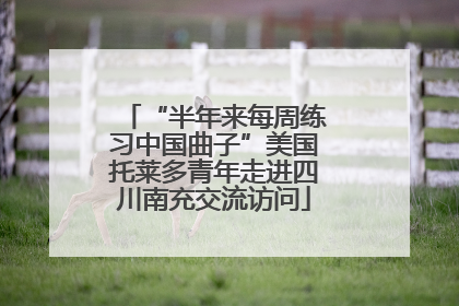 “半年来每周练习中国曲子”美国托莱多青年走进四川南充交流访问