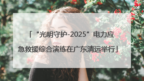 “光明守护-2025”电力应急救援综合演练在广东清远举行