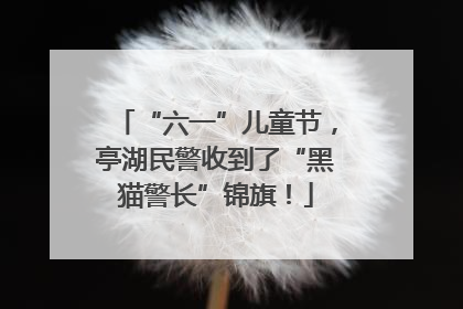“六一”儿童节，亭湖民警收到了“黑猫警长”锦旗！