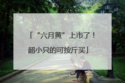 “六月黄”上市了！超小只的可按斤买