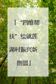 “四维帮扶”绘就莲湖村振兴新图景