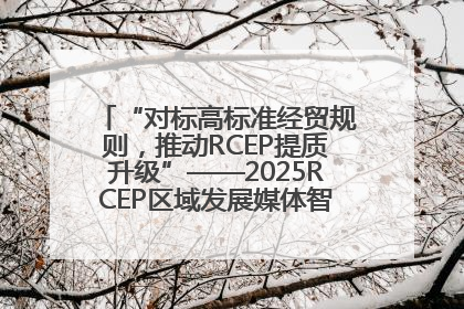 “对标高标准经贸规则，推动RCEP提质升级”——2025RCEP区域发展媒体智库论坛举行专题对话