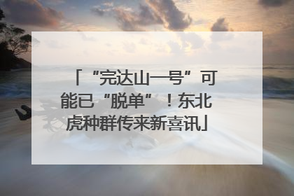 “完达山一号”可能已“脱单”！东北虎种群传来新喜讯