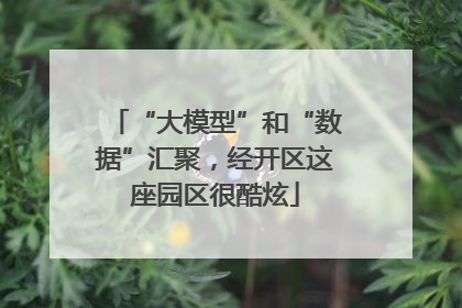 “大模型”和“数据”汇聚，经开区这座园区很酷炫