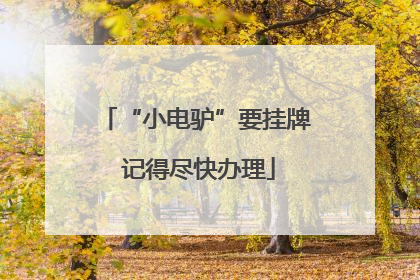 “小电驴”要挂牌 记得尽快办理