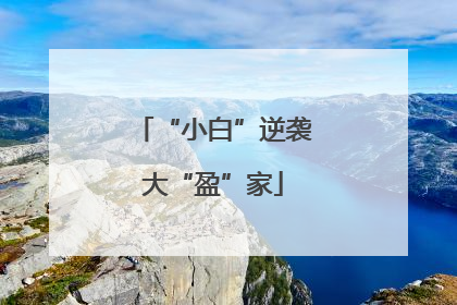 “小白”逆袭大“盈”家