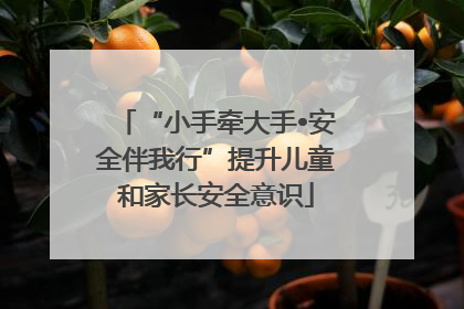 “小手牵大手•安全伴我行”提升儿童和家长安全意识