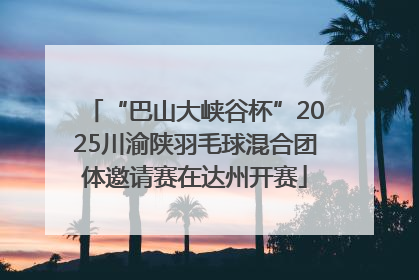 “巴山大峡谷杯”2025川渝陕羽毛球混合团体邀请赛在达州开赛
