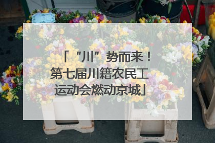 “川”势而来！第七届川籍农民工运动会燃动京城