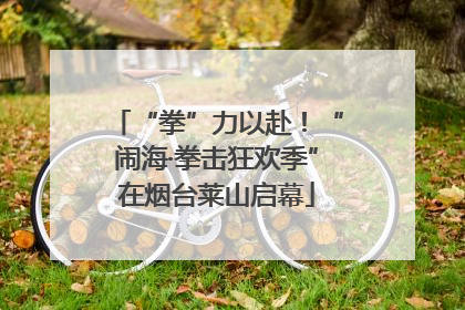 “拳”力以赴！“闹海·拳击狂欢季”在烟台莱山启幕