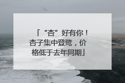 “杏”好有你！杏子集中登鹭，价格低于去年同期