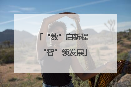 “数”启新程 “智”领发展