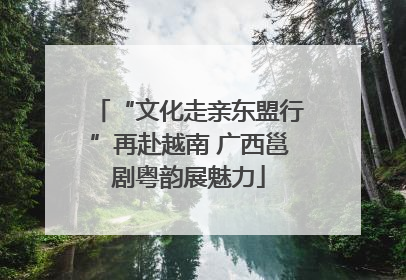 “文化走亲东盟行”再赴越南 广西邕剧粤韵展魅力