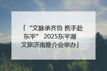“文脉承齐鲁 携手赴东平” 2025东平湖文旅济南推介会举办