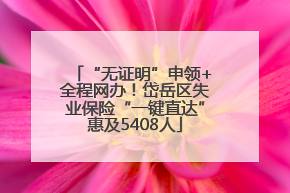 “无证明”申领+全程网办！岱岳区失业保险“一键直达”惠及5408人