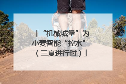 “机械城堡”为小麦智能“控水”（三夏进行时）
