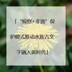 “检察+非遗”保护模式推动水族古文字融入新时代