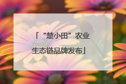 “楚小田”农业生态链品牌发布