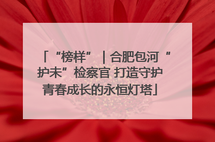 “榜样”｜合肥包河“护未”检察官 打造守护青春成长的永恒灯塔