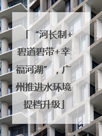 “河长制+碧道碧带+幸福河湖”，广州推进水环境提档升级