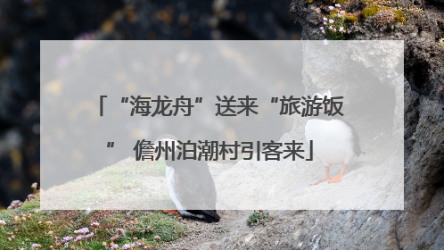 “海龙舟”送来“旅游饭” 儋州泊潮村引客来