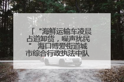 “海鲜运输车凌晨占道卸货，噪声扰民” 海口博爱街道城市综合行政执法中队：将联合交警加强长堤路一带巡逻