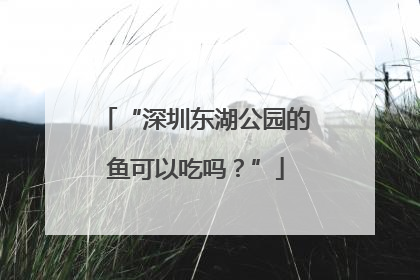 “深圳东湖公园的鱼可以吃吗？”