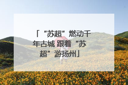 “苏超”燃动千年古城 跟着“苏超”游扬州