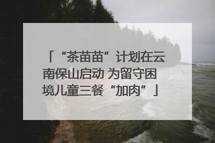 “茶苗苗”计划在云南保山启动 为留守困境儿童三餐“加肉”