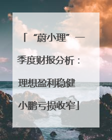 “蔚小理”一季度财报分析：理想盈利稳健 小鹏亏损收窄