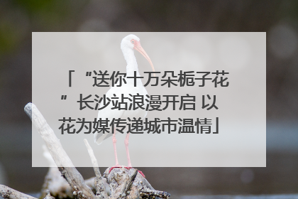 “送你十万朵栀子花”长沙站浪漫开启 以花为媒传递城市温情