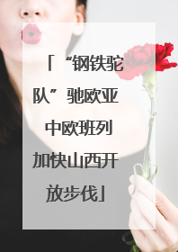“钢铁驼队”驰欧亚 中欧班列加快山西开放步伐