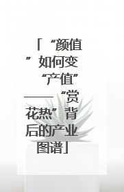 “颜值”如何变“产值”——“赏花热”背后的产业图谱