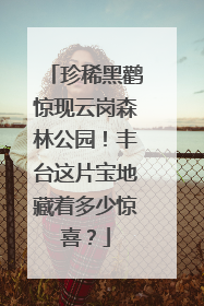 珍稀黑鹳惊现云岗森林公园！丰台这片宝地藏着多少惊喜？