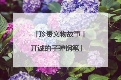 珍贵文物故事丨开诚的子弹钢笔